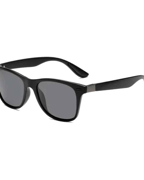 Lunettes polarisées Horizon, verres gris