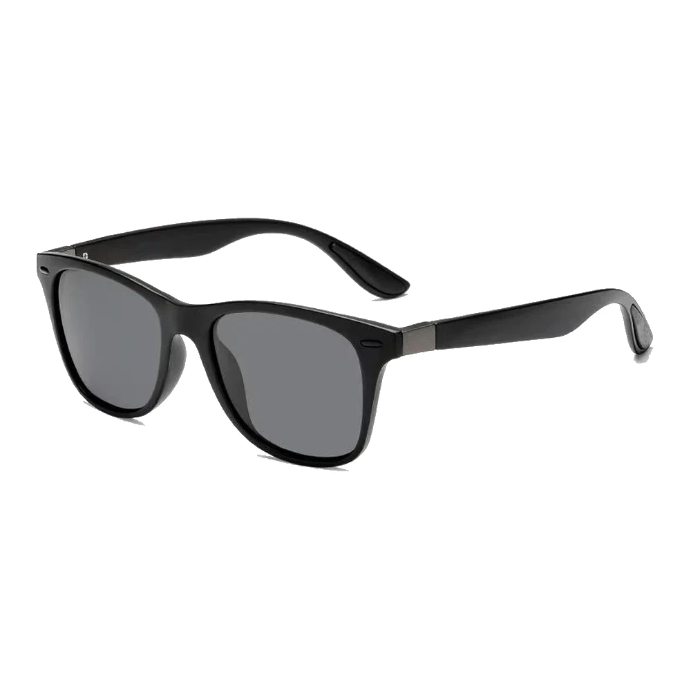 Lunettes polarisées Horizon, verres gris